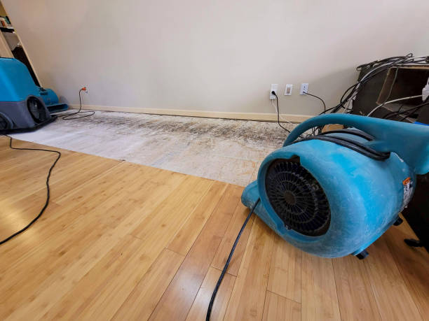 Reliable Basement Flood Cleanup contractor in Edgewood, TX by Hirex Water Damage