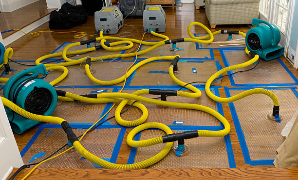 Professional Basement Flood Cleanup technician working in Edgewood, TX